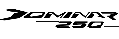 Logo Dominar 250