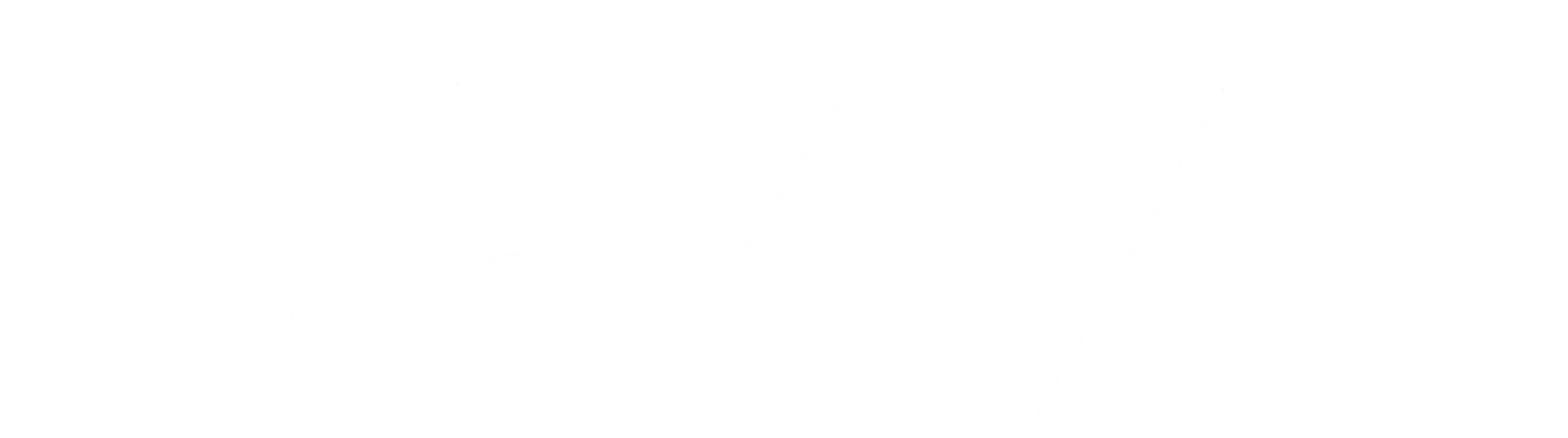 Logo adicional 1